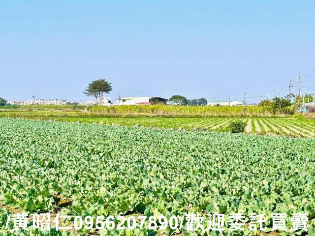 台南農地-2