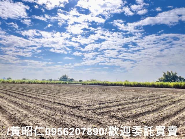 台南善化農地-1