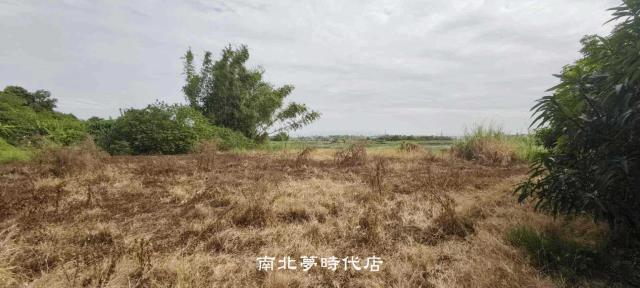台南仁德農地-1