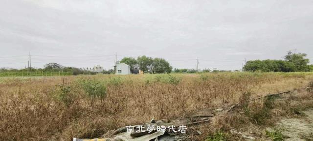 台南仁德農地-2