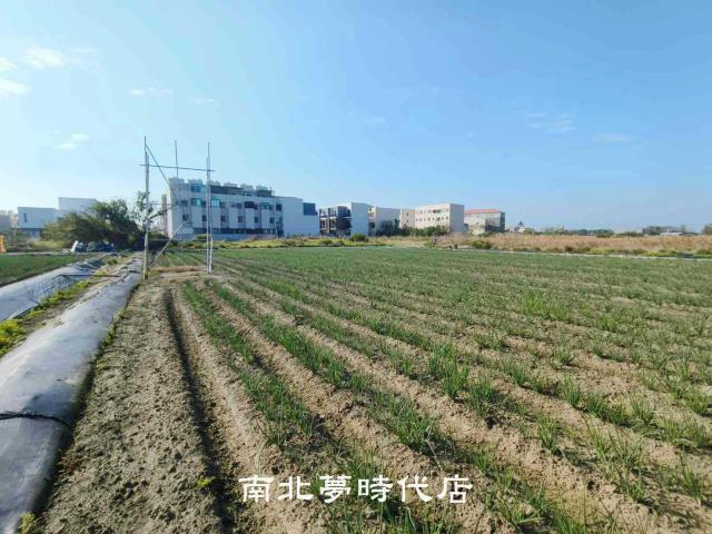 安南農地-4