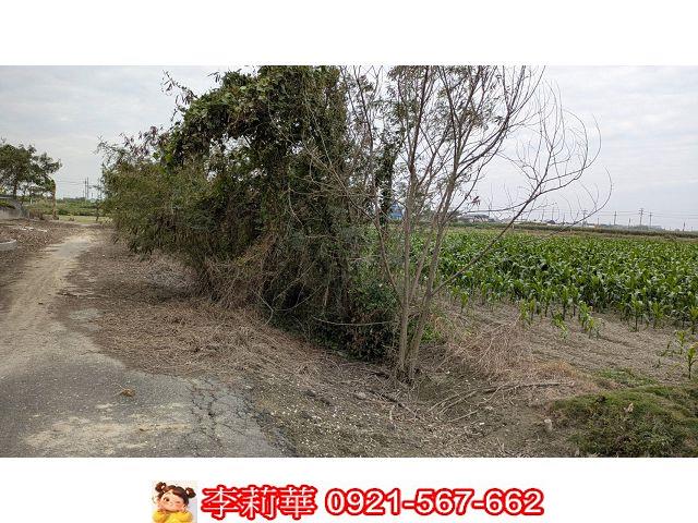台南農地-5