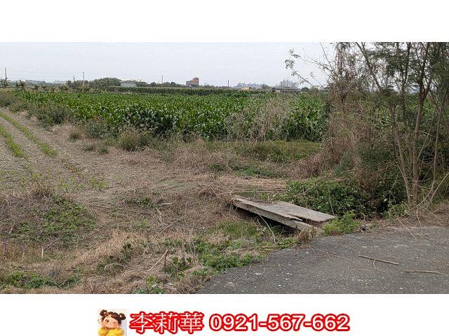 台南農地-6