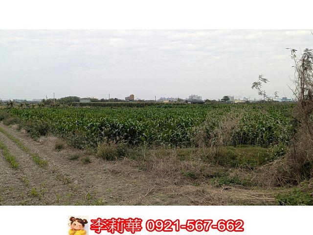 台南農地-8