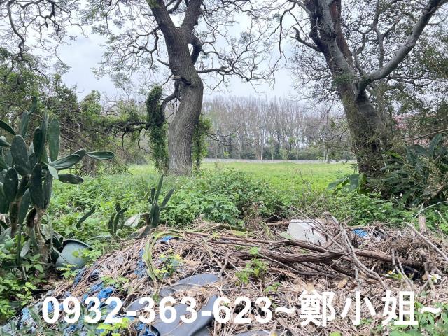 桃園觀音農地-2