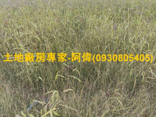 高雄農地-0