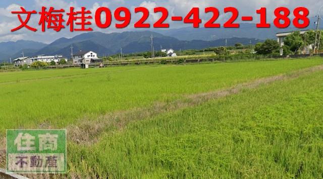 宜蘭縣壯圍鄉壯志段農地出售