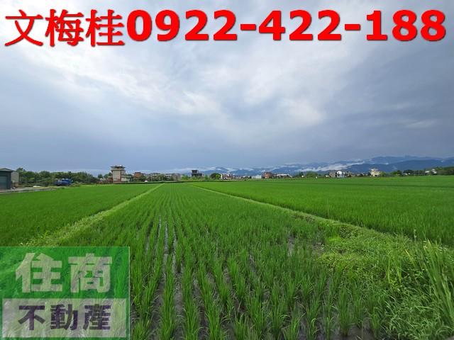 宜蘭員山農地-5