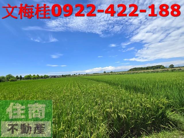 宜蘭壯圍農地-9