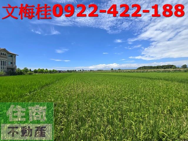 宜蘭土地宜蘭農地員山農地壯圍農地