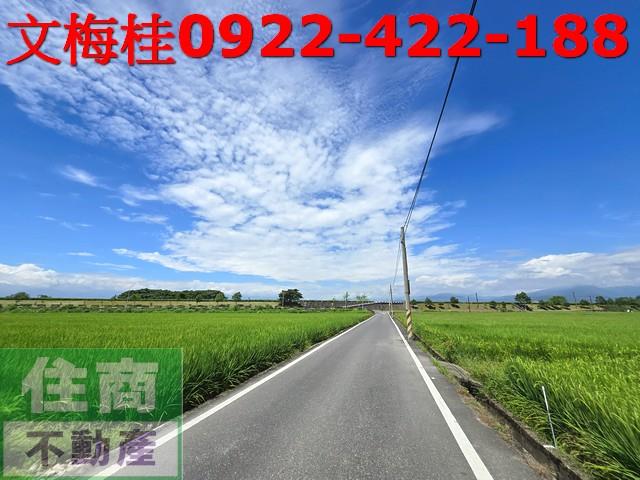 宜蘭壯圍農地-6