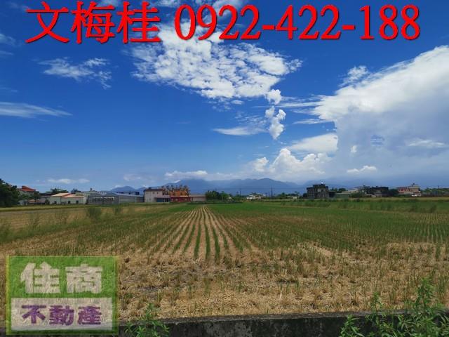 宜蘭壯圍農地-2