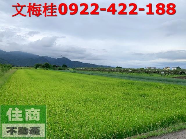 宜蘭縣員山鄉尚好段農地出售