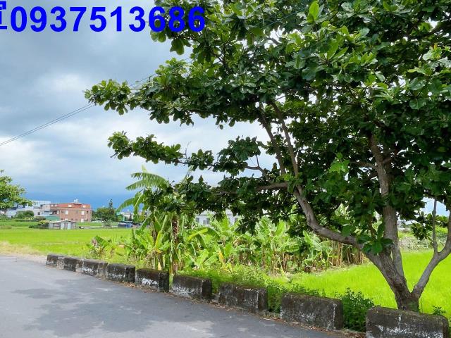 宜蘭宜蘭市農地-10