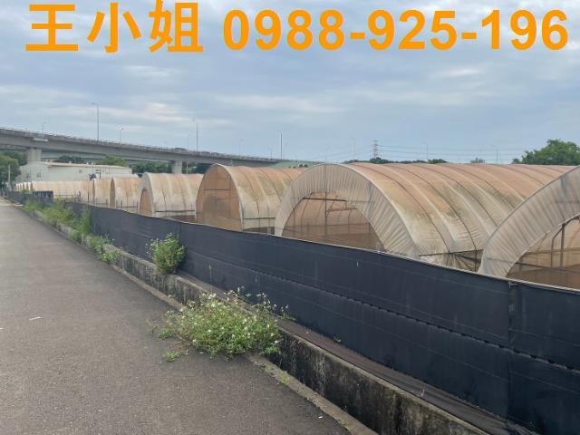 桃園桃園區農地-2