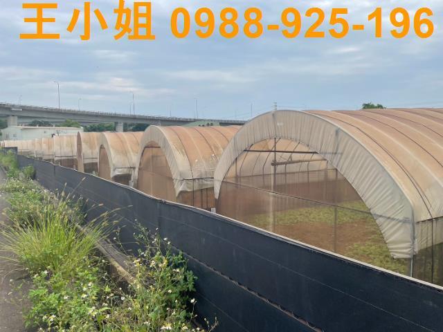 桃園桃園區農地-3