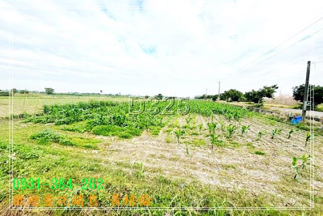 管寮605坪優質農地