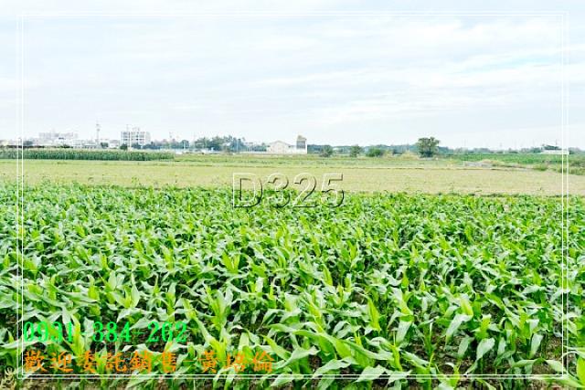 台南培倫房屋土地王