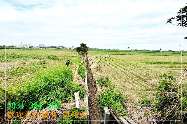 管寮605坪優質農地