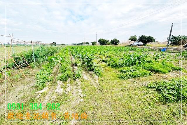 H。蝸牛居黃培倫