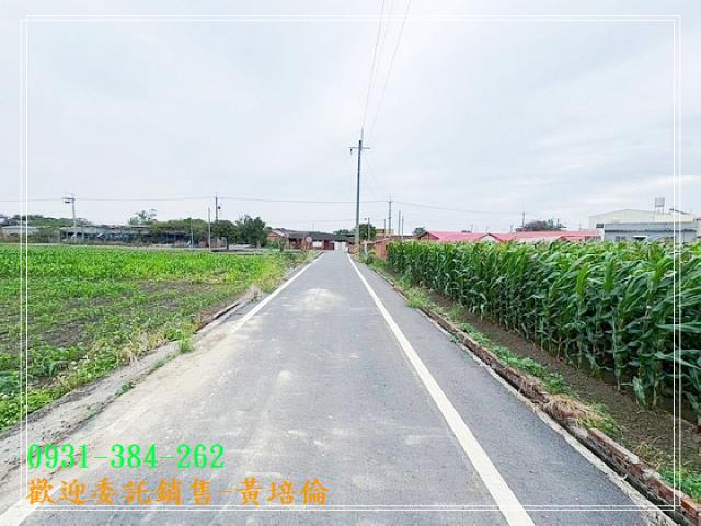 鹽水番子厝段優質農地