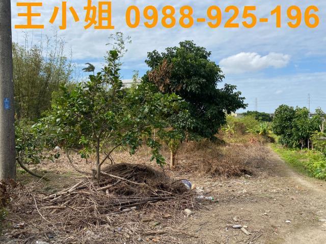 桃園桃園區農地-2