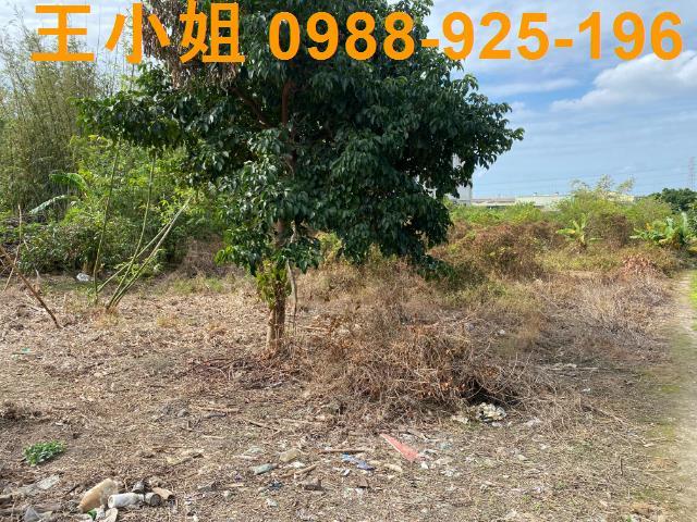 桃園桃園區農地-3