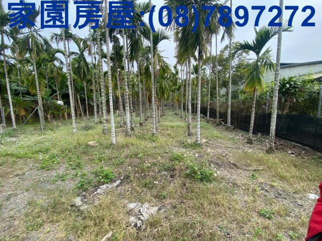 萬巒河堤美景小農地