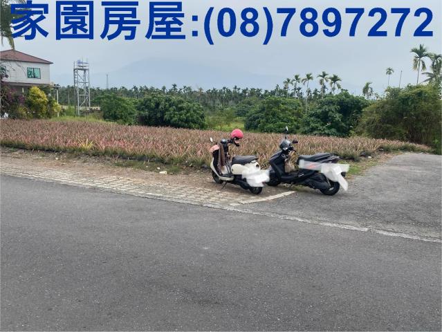 佳冬農地台一線省道價格便宜雙面臨路