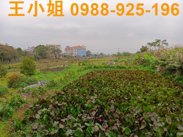 桃園大溪農地-12