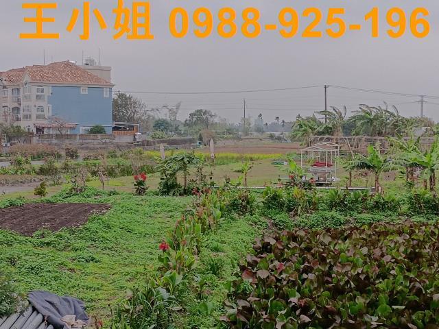 桃園大溪農地-13