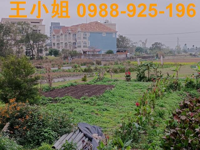 桃園大溪農地-14