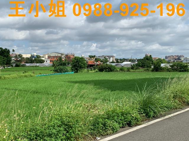 桃園大溪農地-1