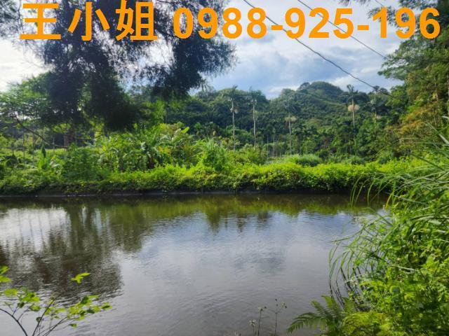 桃園大溪農地-1