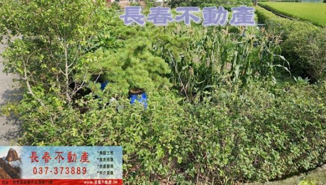 8F225大湖大南農牧地