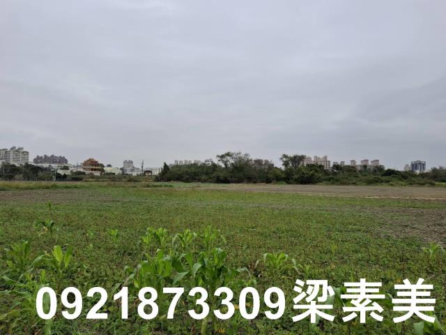 台南永康農地-1