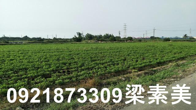 善化農地-9
