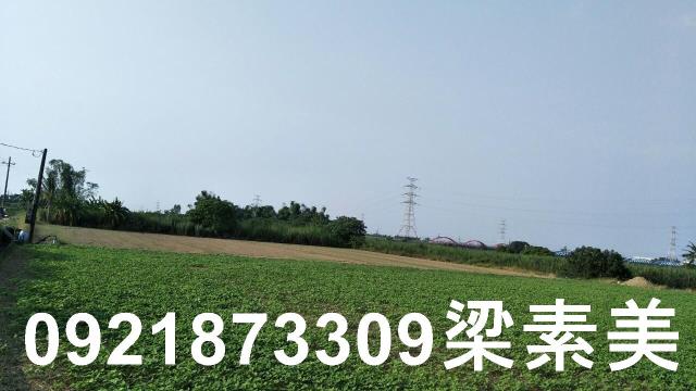 善化農地-3