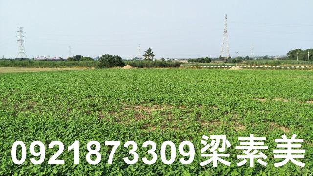善化農地-4