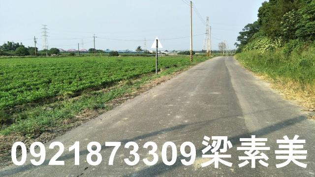 善化農地-8