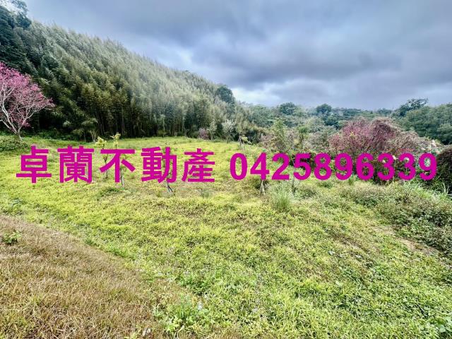 苗栗卓蘭農地-11