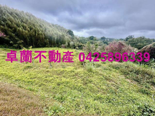 苗栗卓蘭農地-12