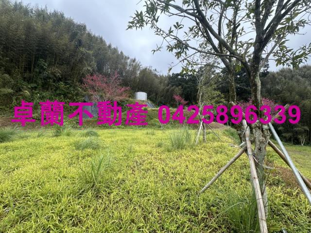 苗栗卓蘭農地-13