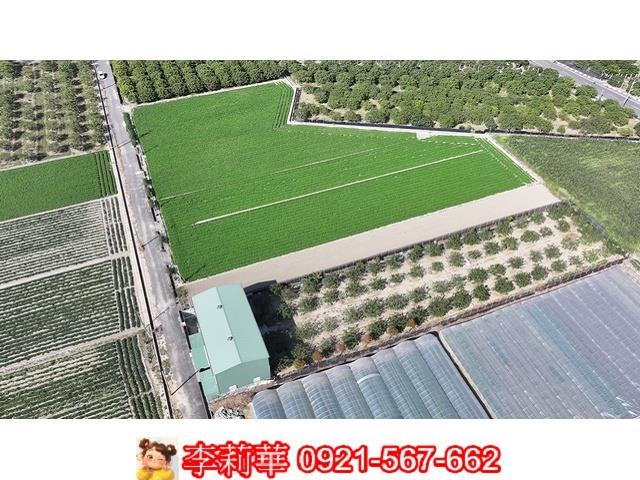 台南麻豆農地-11