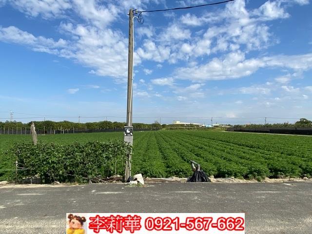 台南麻豆農地-3