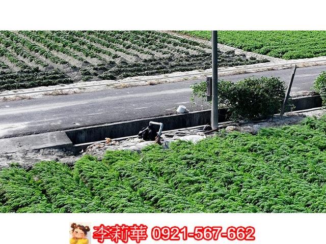 台南麻豆農地-4