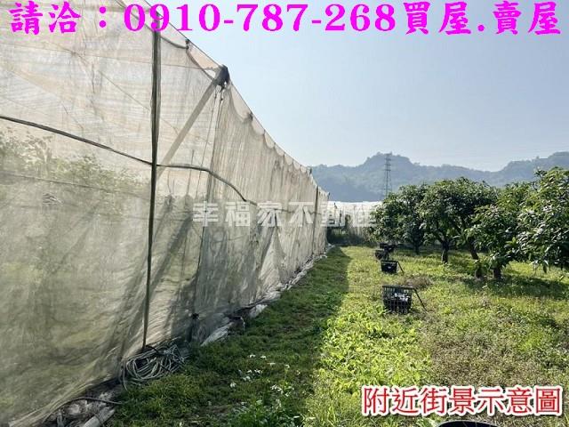 台南玉井農地-5