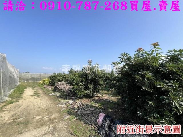 台南玉井農地-7