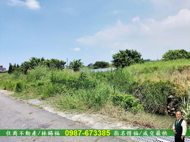 台南農地-4