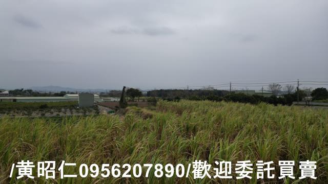 台南新市農地-6